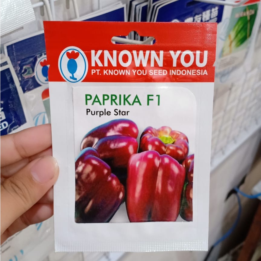 KYS - benih PAPRIKA UNGU PURPLE STAR isi 25 biji - biji paprika - known you seed