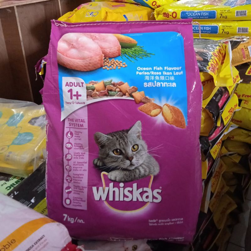 Whiskas Ocean fish Adult 7 kg Makanan Kucing | Whiskas Ocean fish 7kg | Whiskas Karungan | whiskas