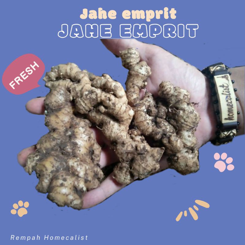 Jahe Emprit Segar 1kg Jahe Mprit Asli