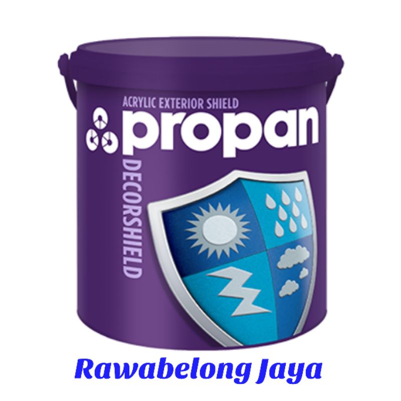 PROPAN EXTERIOR - DECORSHIELD DW500 WHITE 9101 PAIL 20 LITER