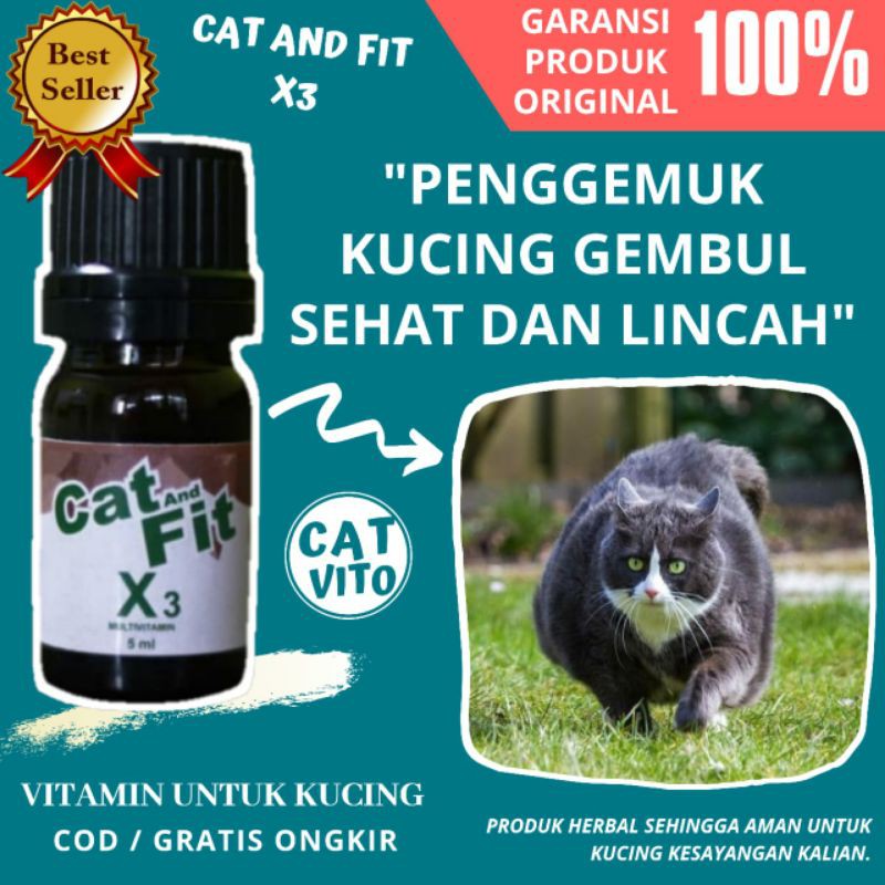 Penggemuk Kucing Vitamin Penambah Nafsu makan Kucing Suplemen Gemuk Kucing