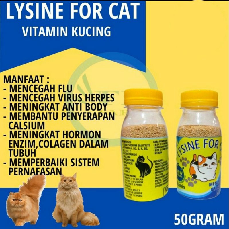 Vitamin Lysine For Cat Murah Penggemuk dan Bulu Kucing Penumbuh Bulu Kucing Pelebat Bulu Obat Bulu Kucing Rontok