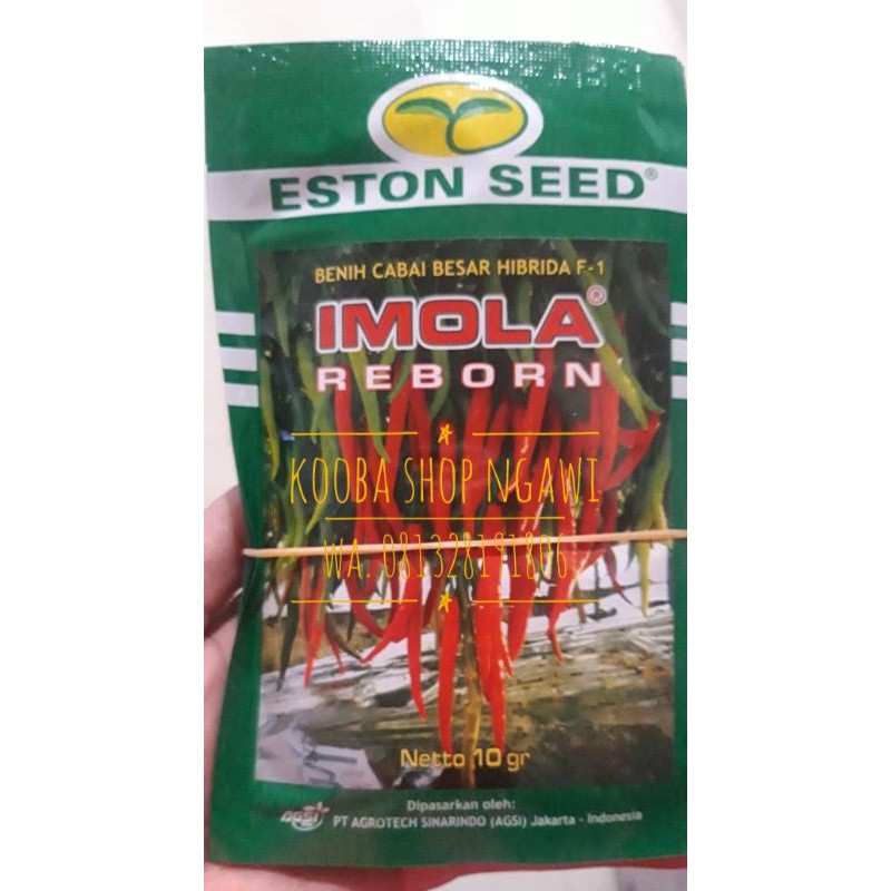 IMOLA REBORN Benih Cabai Besar Imola Varietas Baru - 10 gr