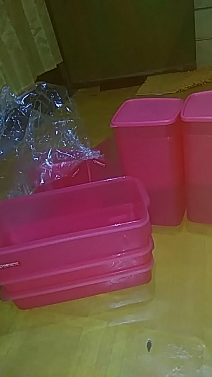 Toples Set 11 Daily Fresh