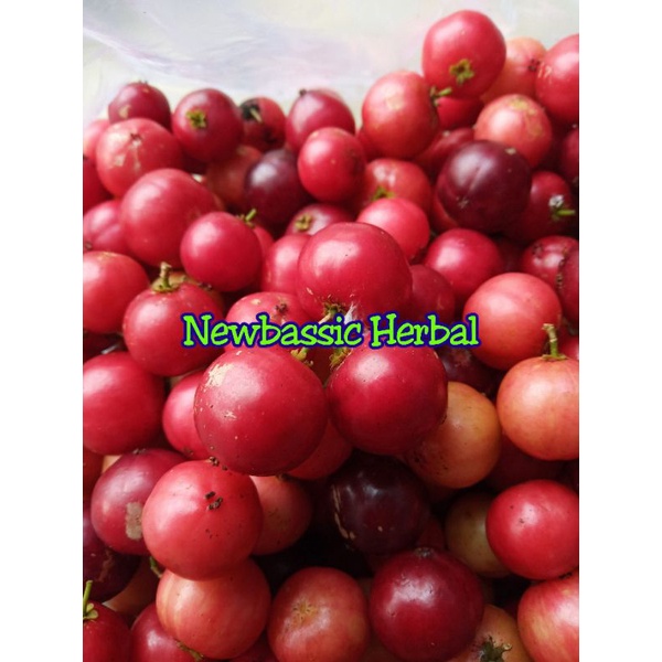 

buah luba lubi fresh