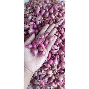 

BAWANG MERAH KECILAN 1/2kg