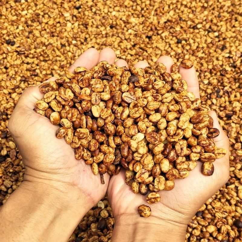 

KOPI ARABICA HONEY SUNDA LOA