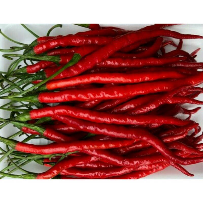 

Cabe merah keriting 1 kg