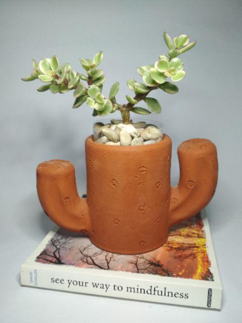 Pot Terracotta Tanah Liat Gerabah D08 Fury