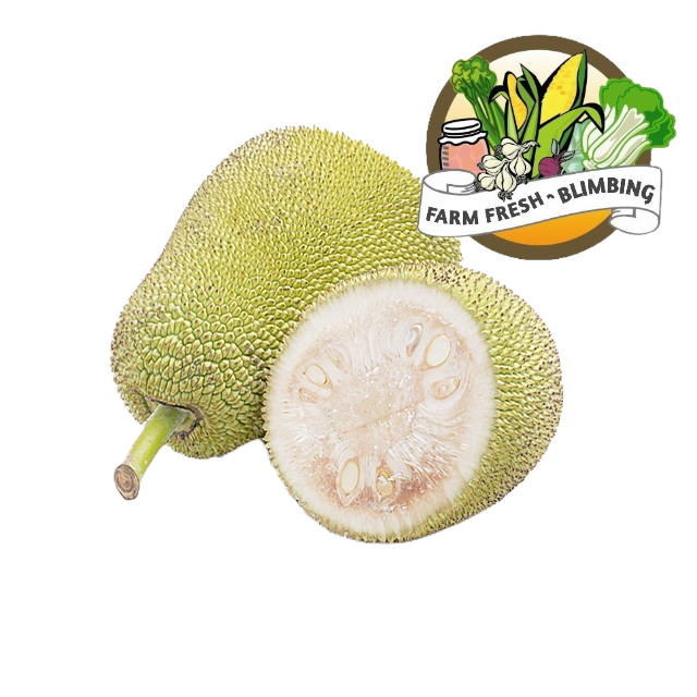 

sayur nangka 500gr