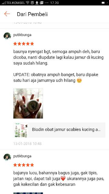 BIODIN 12gr cream hijau / obat jamur scabies / hewan / kucing anjing / pet