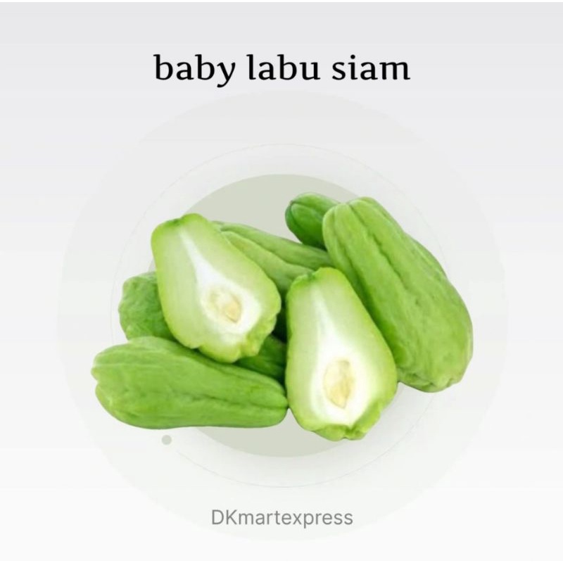 baby labu siam 500 gram lalap labu kecil 500 gr jipang lalapan labu siyam baby