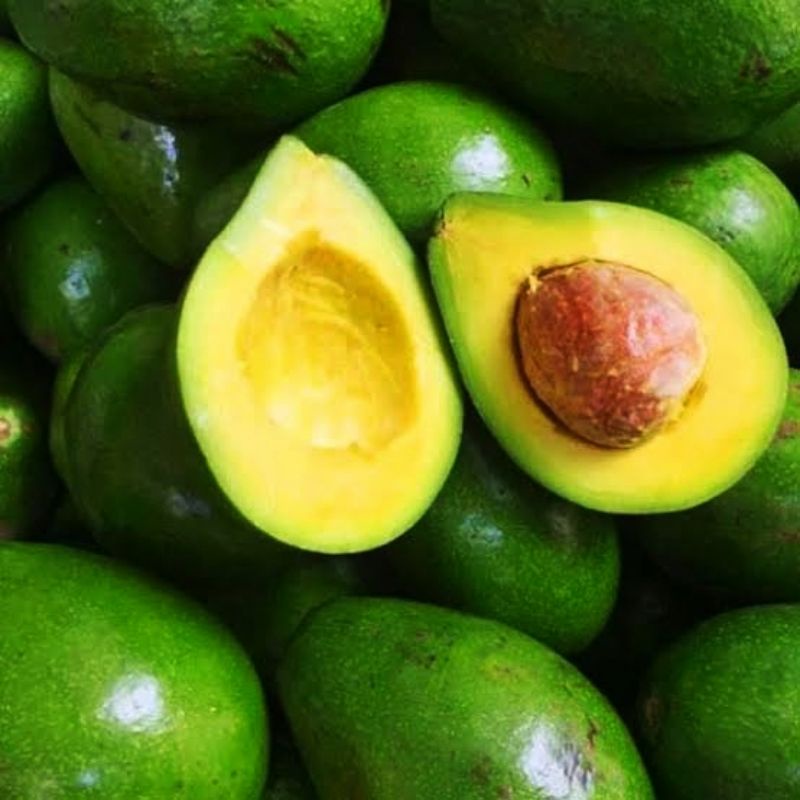 

Alpukat Mentega Lampung Segar 1 Kg Termurah Dijamin