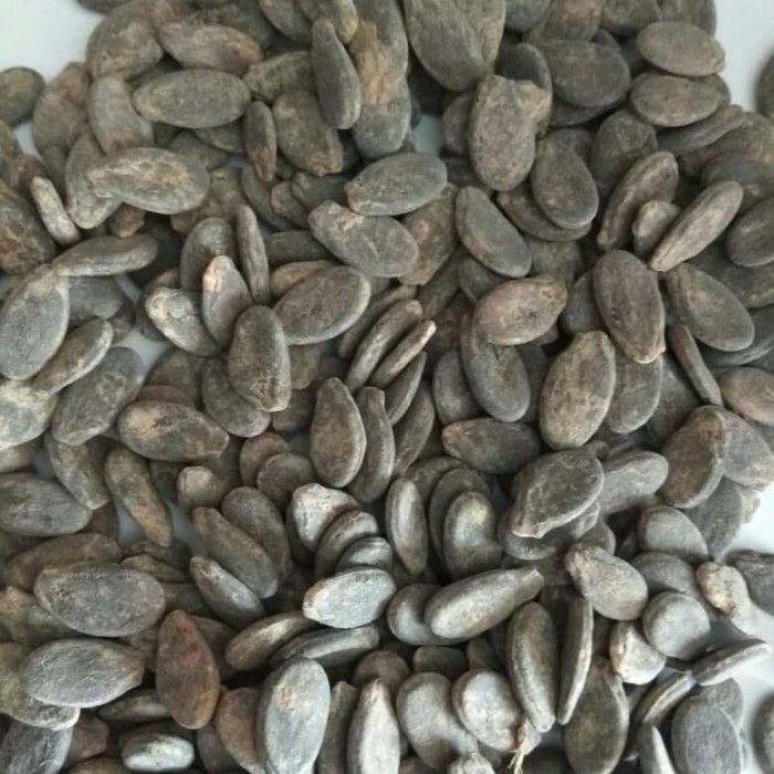 

Toko kuaci jadul biji semangka Enak