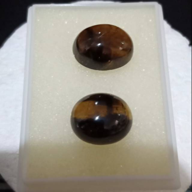 

KKK218 Kecubung Kopi Kalimantan