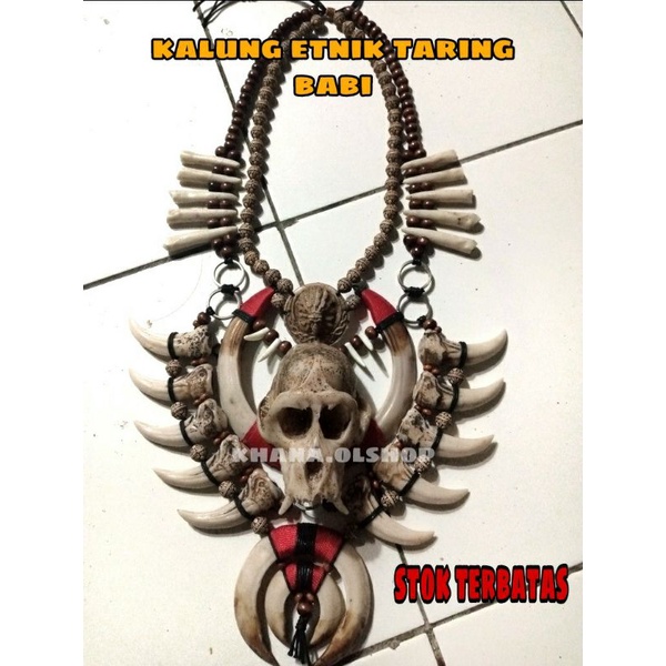 Kalung Taring Babi Etnik Dayak Kalimantan