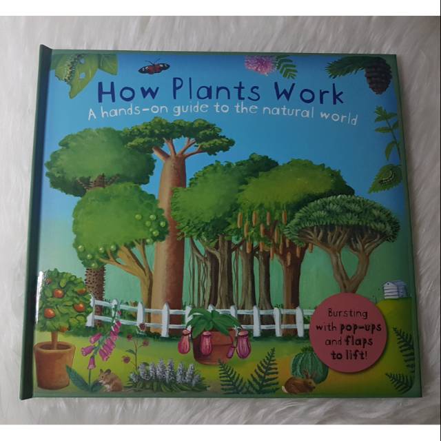 How Plants Work