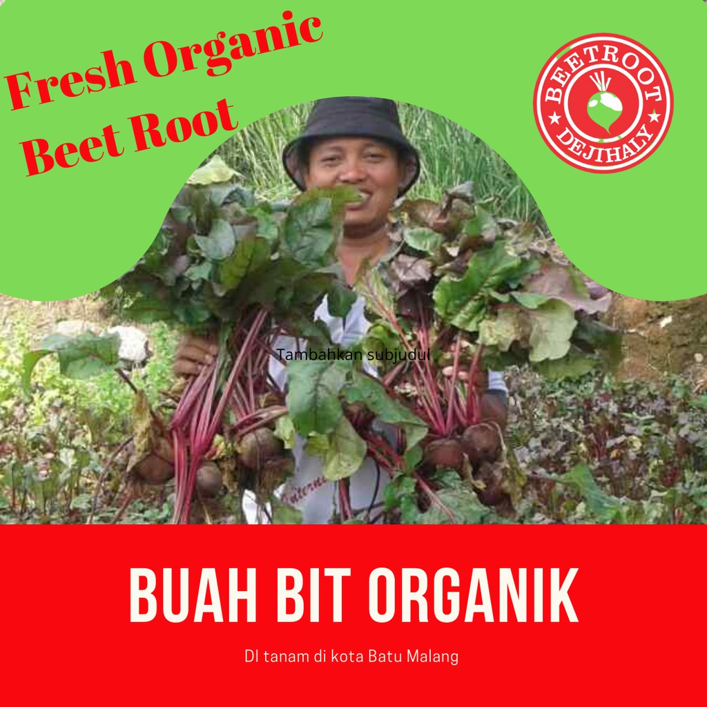 Buah Bit Untuk Anemia Jus Buah Bit Untuk Tambah Darah Buah Bit 1 Kg Organik