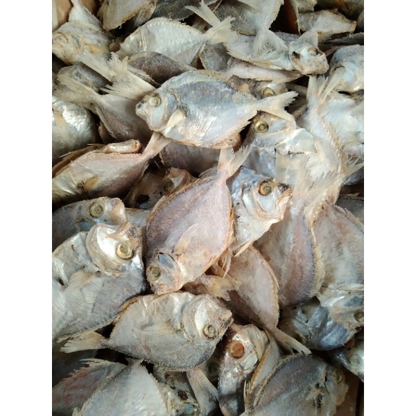 

ikan asin petek 250 grm
