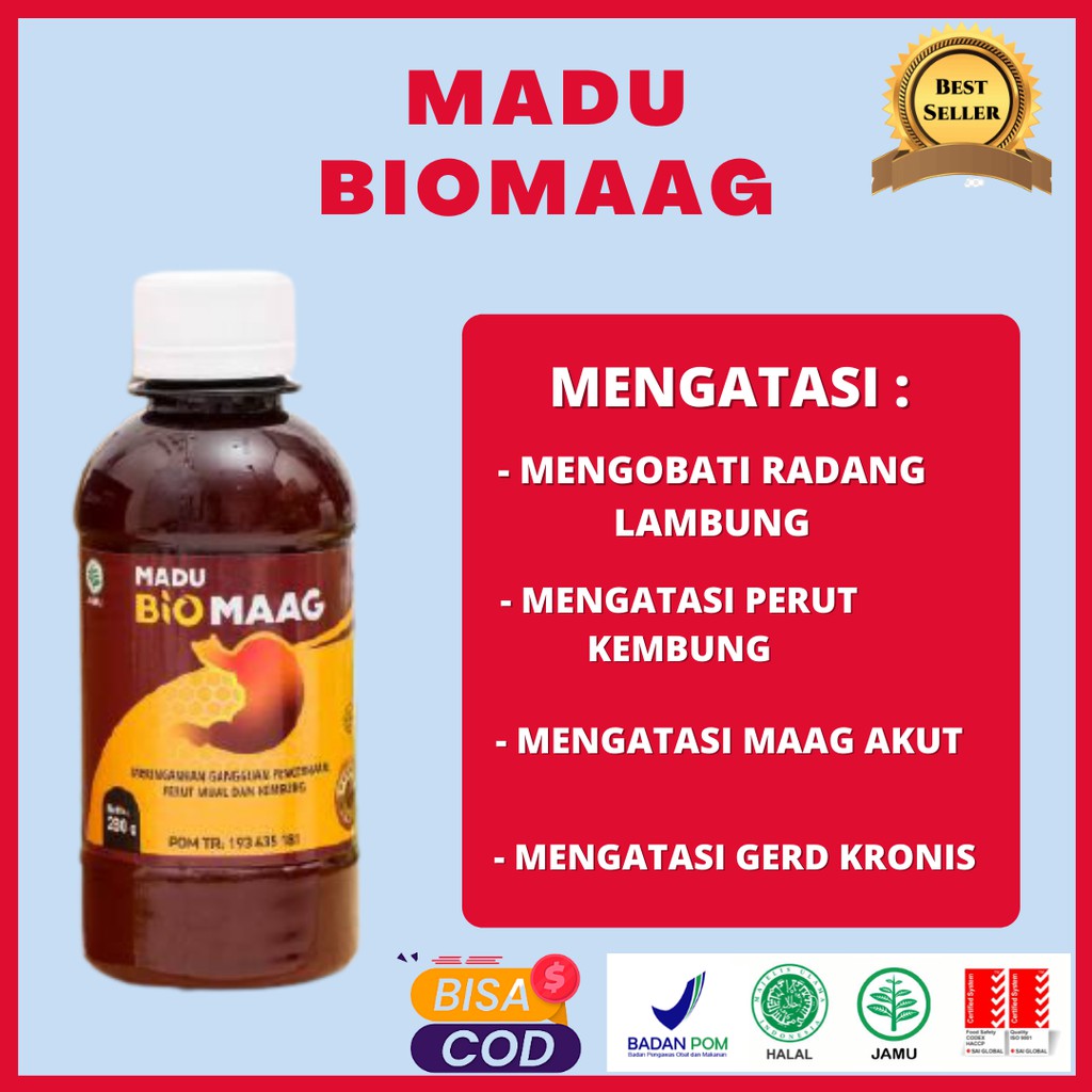 obat asam lambung kronis herbal ampuh obat maag obat maag kronis ampuh obat maag asam lambung