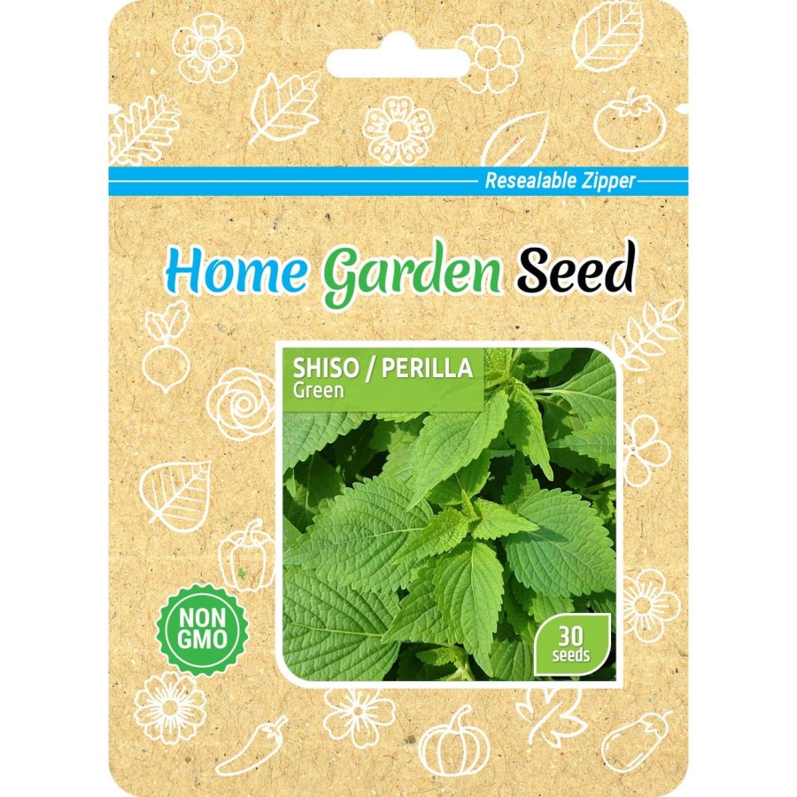 Benih HGS, Shiso / Perilla - Green