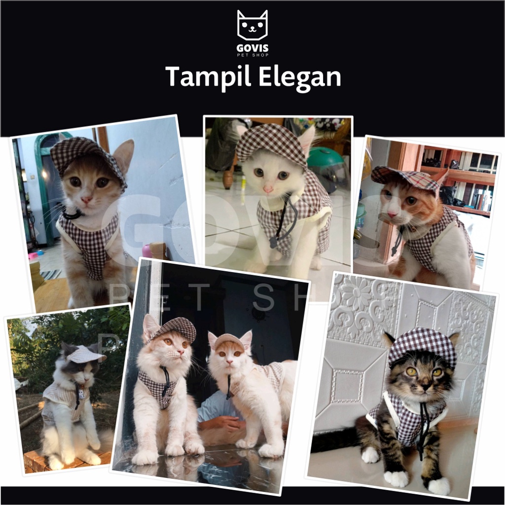 Govis Baju Kucing Kitten Model Tank Lucu Limited Edition