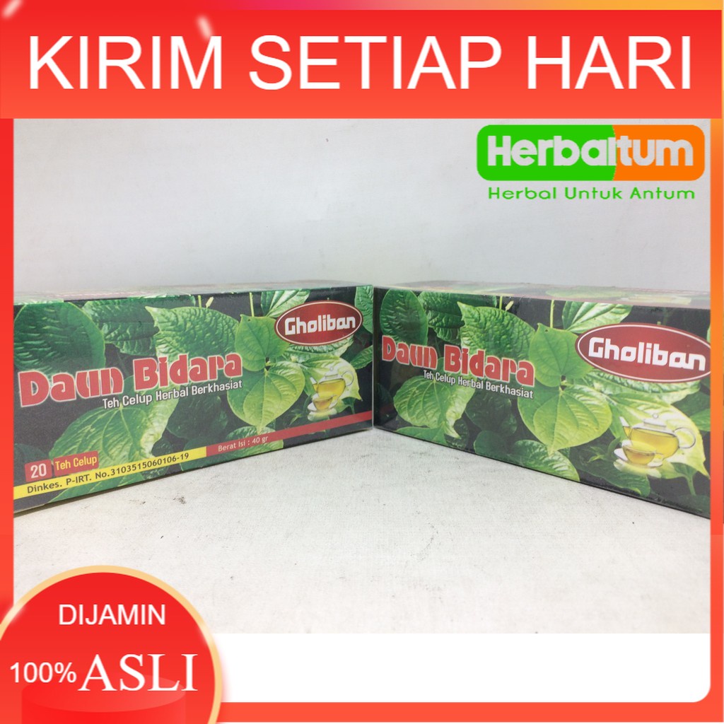 

[ASLI] Teh Celup Daun Bidara (isi 20) - Expired Jauh