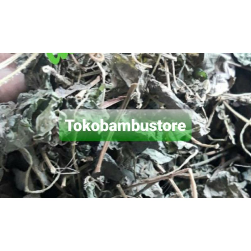 

Daun sembung rambat kering 100 gram-az
