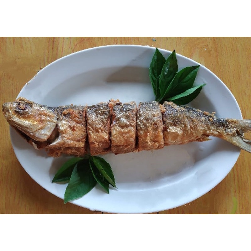 

NEW VARIANT/ GORENG /PANGGANG/TAHAN 7 HARI/OTAK-OTAK BANDENG ASLI JUWANA/ OLAHAN BANDENG /COCOK UNTUK OLEH-OLEH/ENAK / PRAKTIS