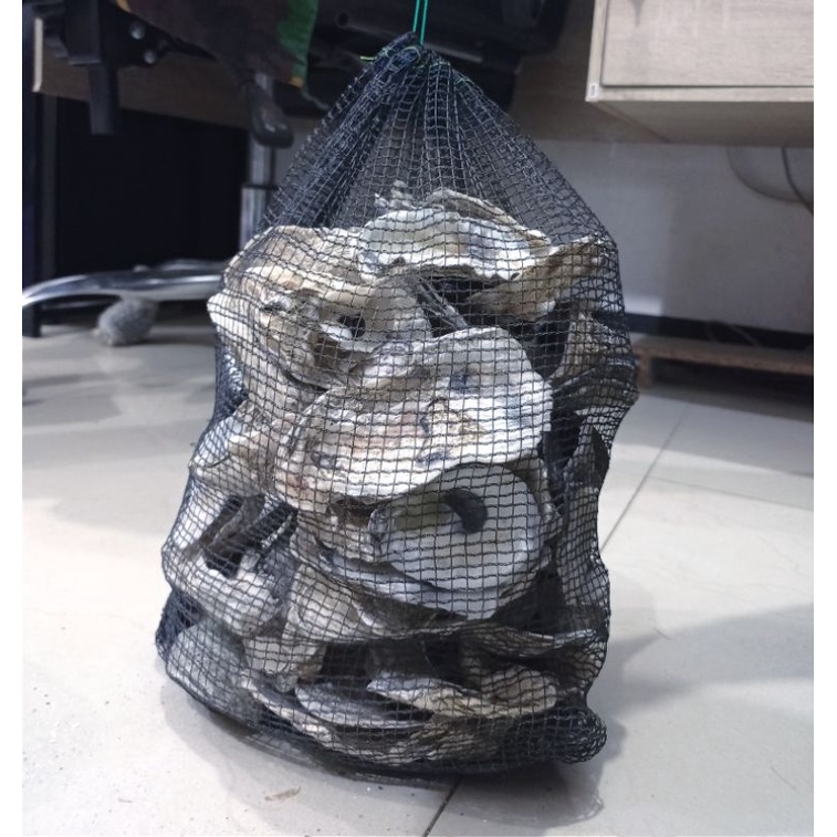 MEDIA FILTER KERANG OYSTER 2KG