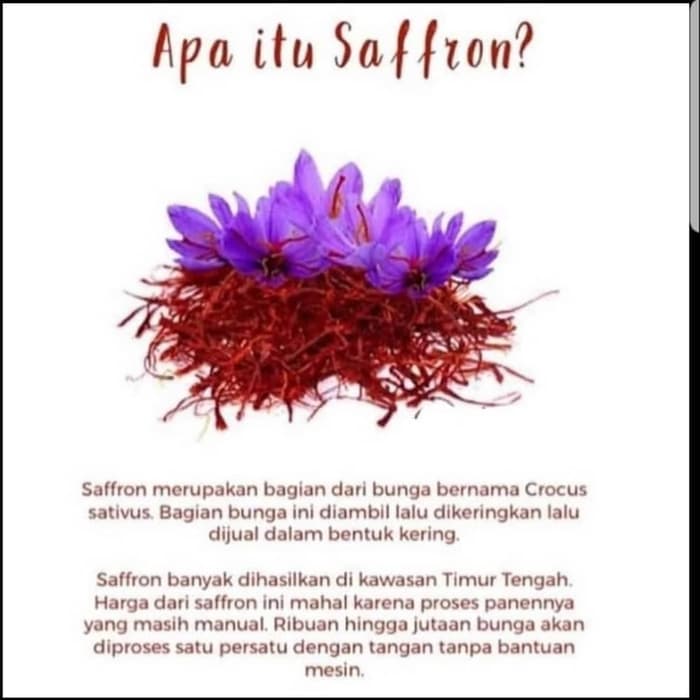 

Roxx.ea - .ea - .ea Safron Iran 2 Gram Suoer Negin Grade 1 Original