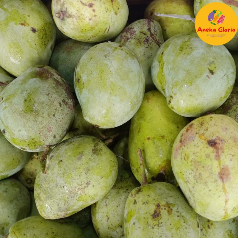 

buah mangga indramayu 1 kg