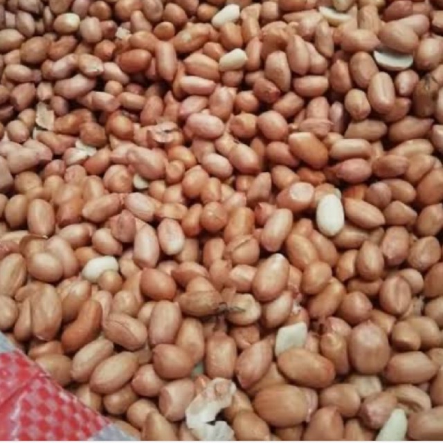 

Kacang Tanah 250 Gram