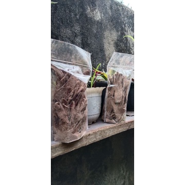 

keripik pisang coklat 120 gram