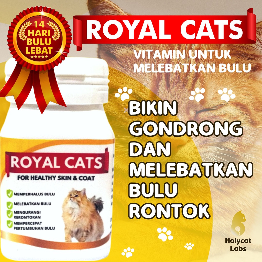 Perawatan Anabul Penggemuk &amp; Pencegah Bulu Rontok Paket ROYAL CARE EASY FAT Ampuh Mengatasi Bulu Rontok Serta Menambah Nafsu Makan