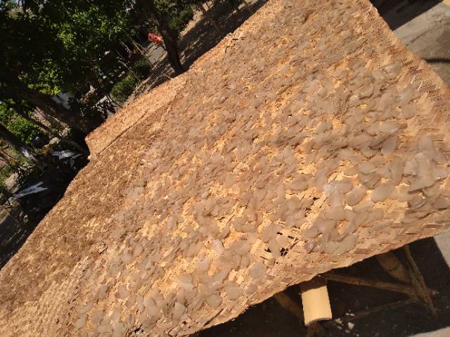 

Krupuk cantir/krupuk mlarat/antor