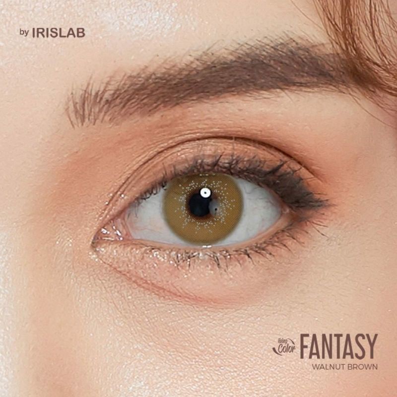 Softlens LIVING COLOR FANTASY 14.4 MM WALNUT BROWN MINUS -0.50 S.D -6.00 by IRISLAB