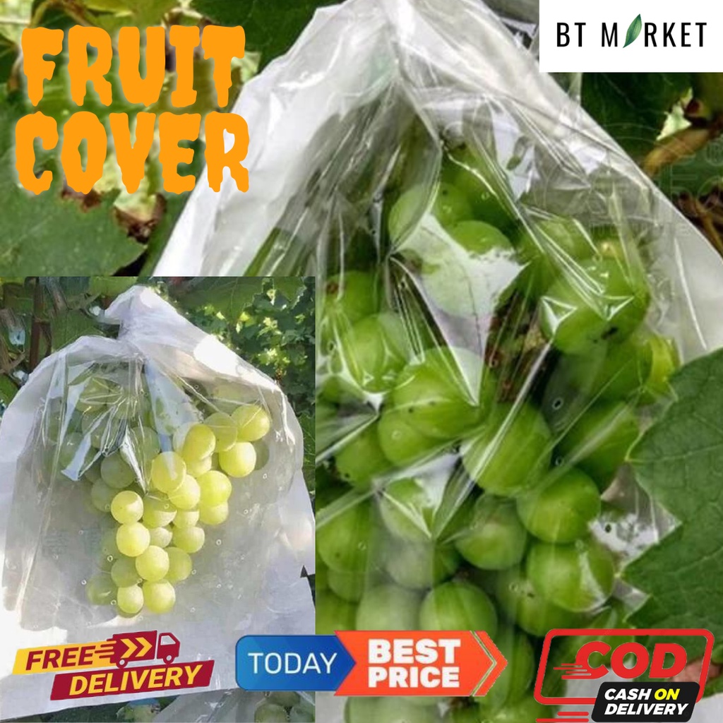 Brongsong Buah Anggur, Fruit Cover Klengkeng, Strawberry Dll, Pembungkus Buah