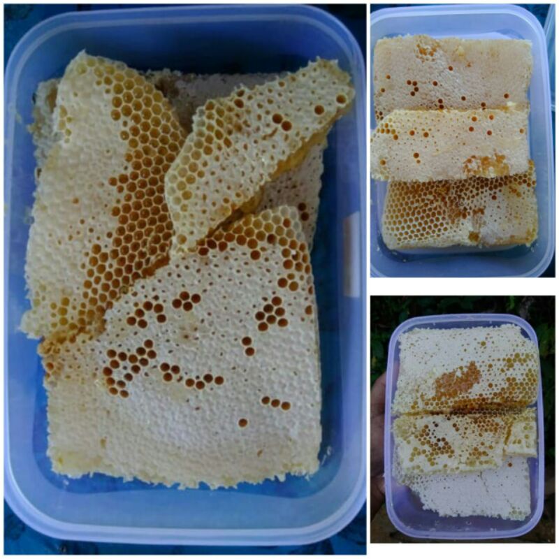 

Madu Sarang Murni Lebah Cerana 700gram