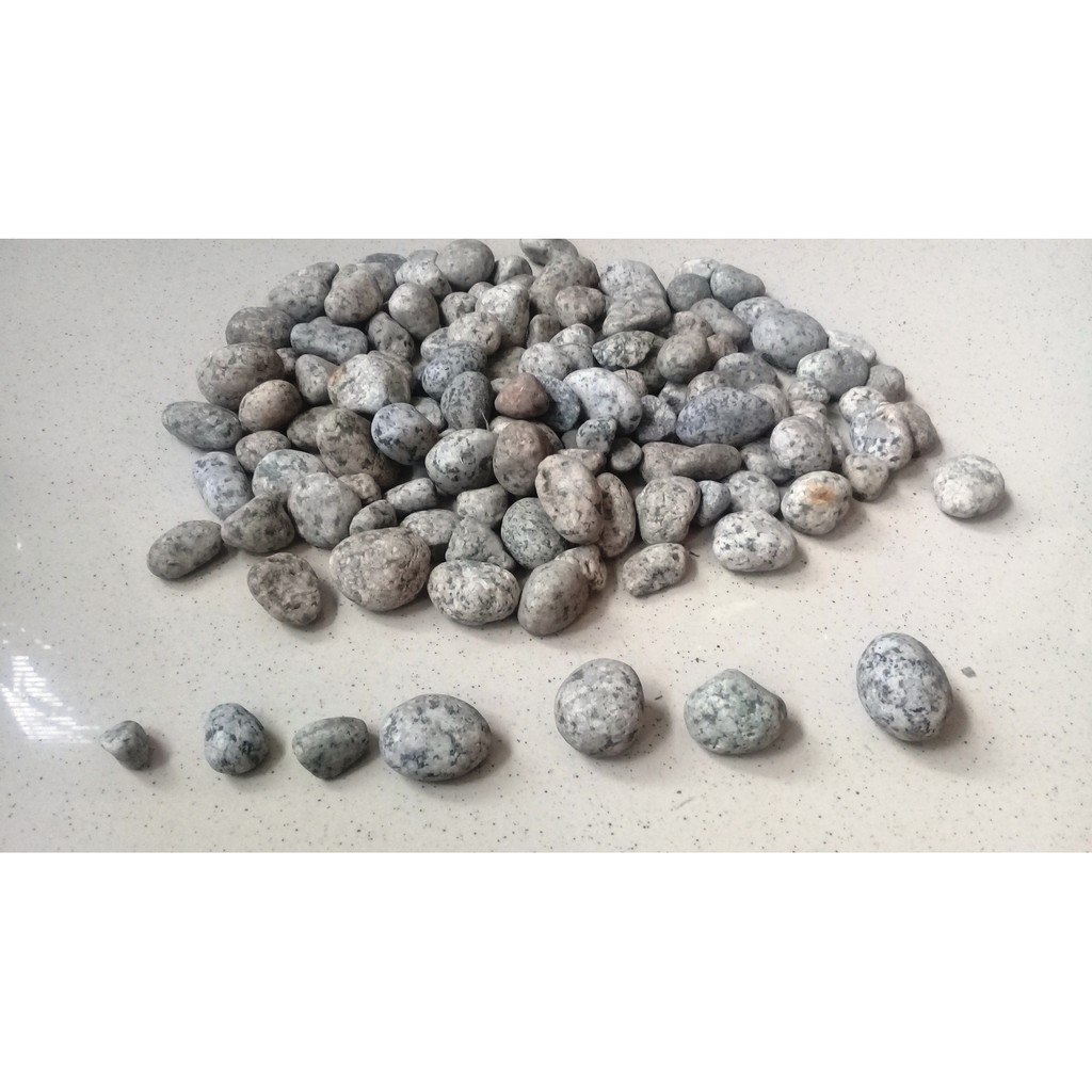 Batu Koral Telur Puyuh 1-3cm 1 kg Terrarium Aquascape Taman
