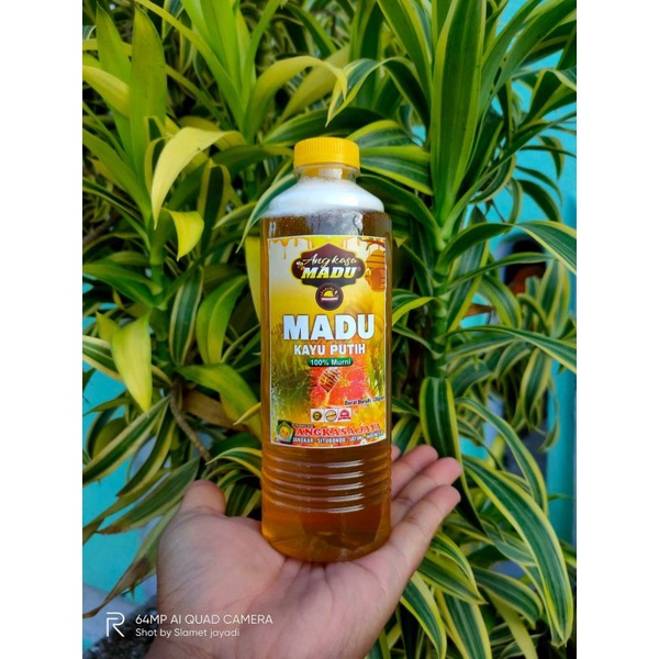 

madu kayu putih