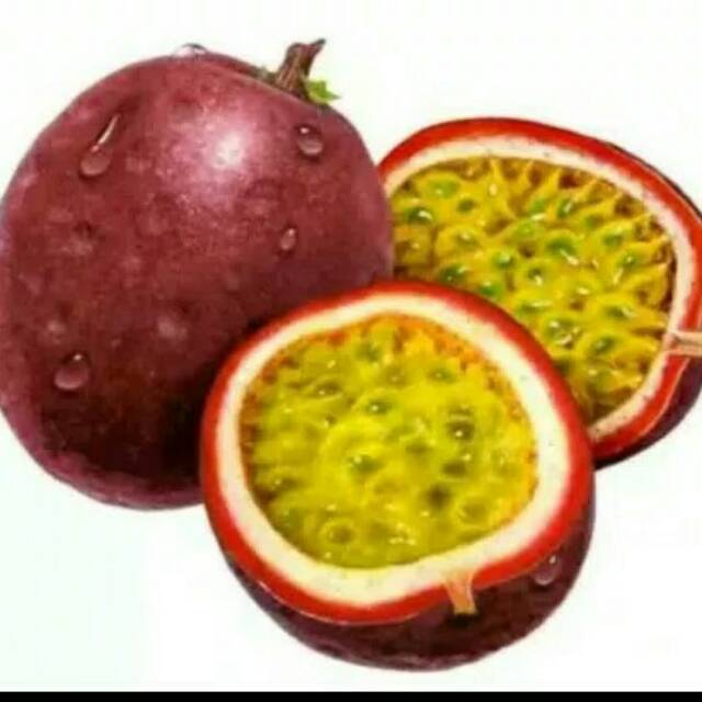 Bibit buah markisa merah manis/bibit pohon buah markisa merah manis