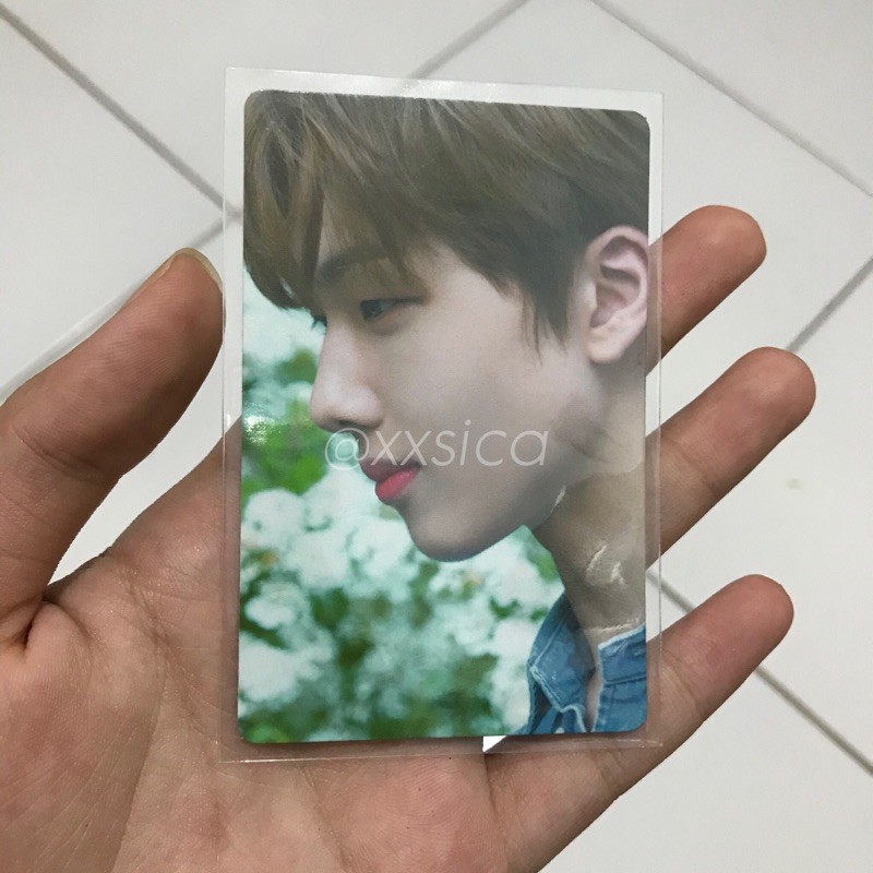 OFFICIAL PC A PRECIOUS MOMENT JISUNG