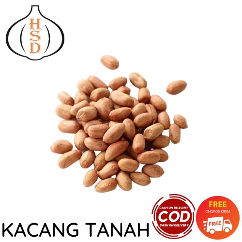 KACANG TANAH KUALITAS PREMIUM HSD 1 KG