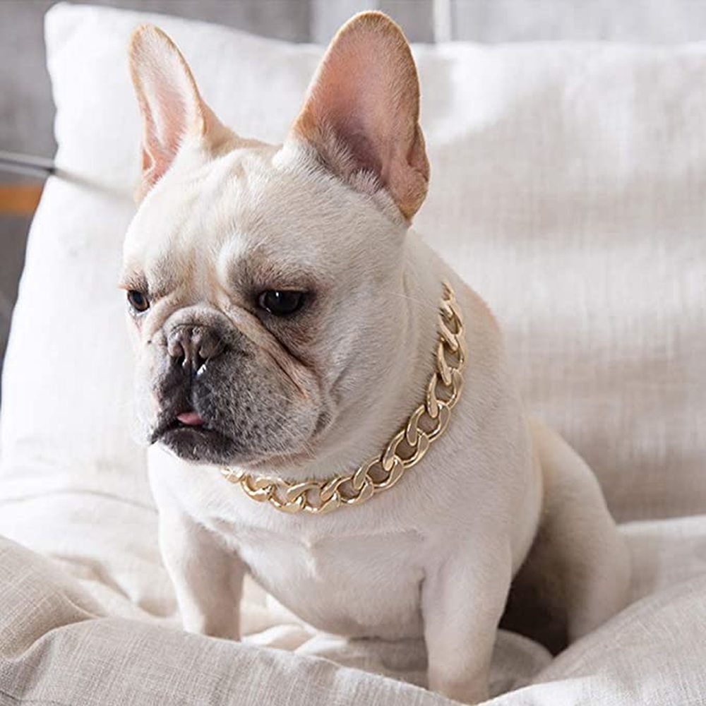 Fashionable And Cool Pet Adjustable Gold Chain