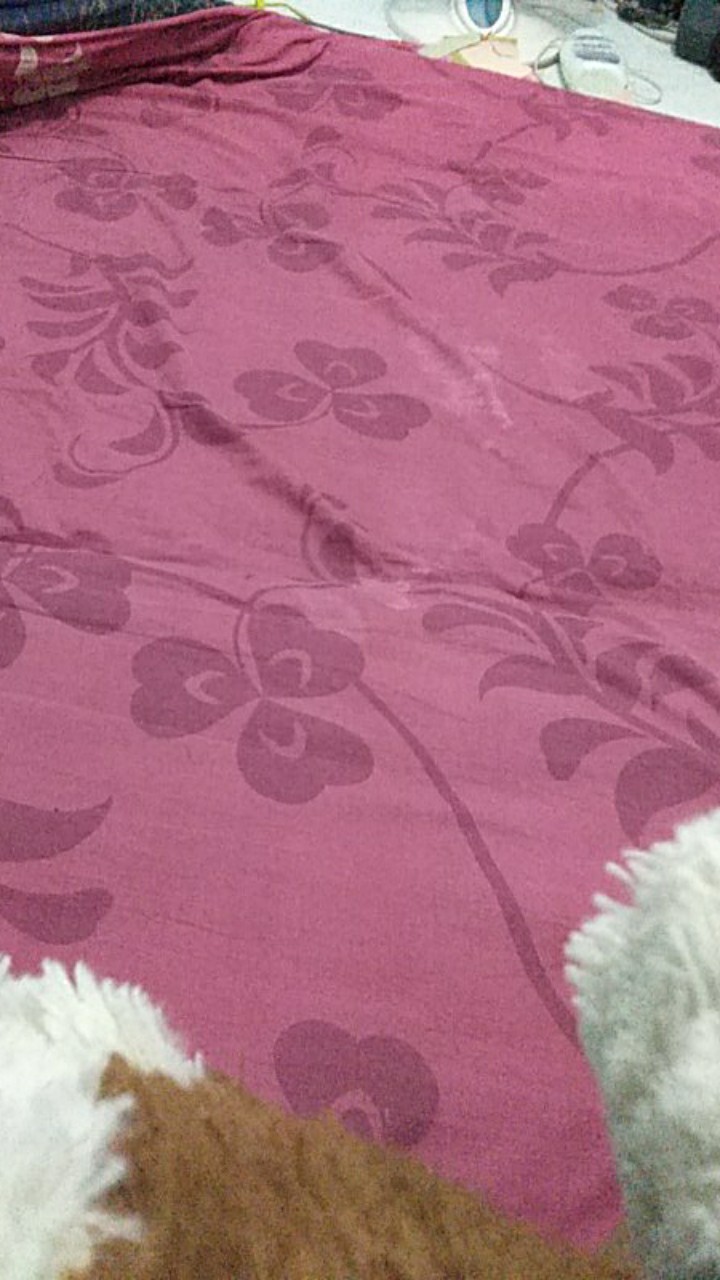 [isi 3 Pcs] Keranjang Parsel Buah