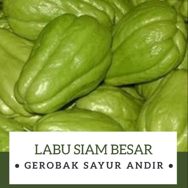 

Labu Siam Besar /pcs