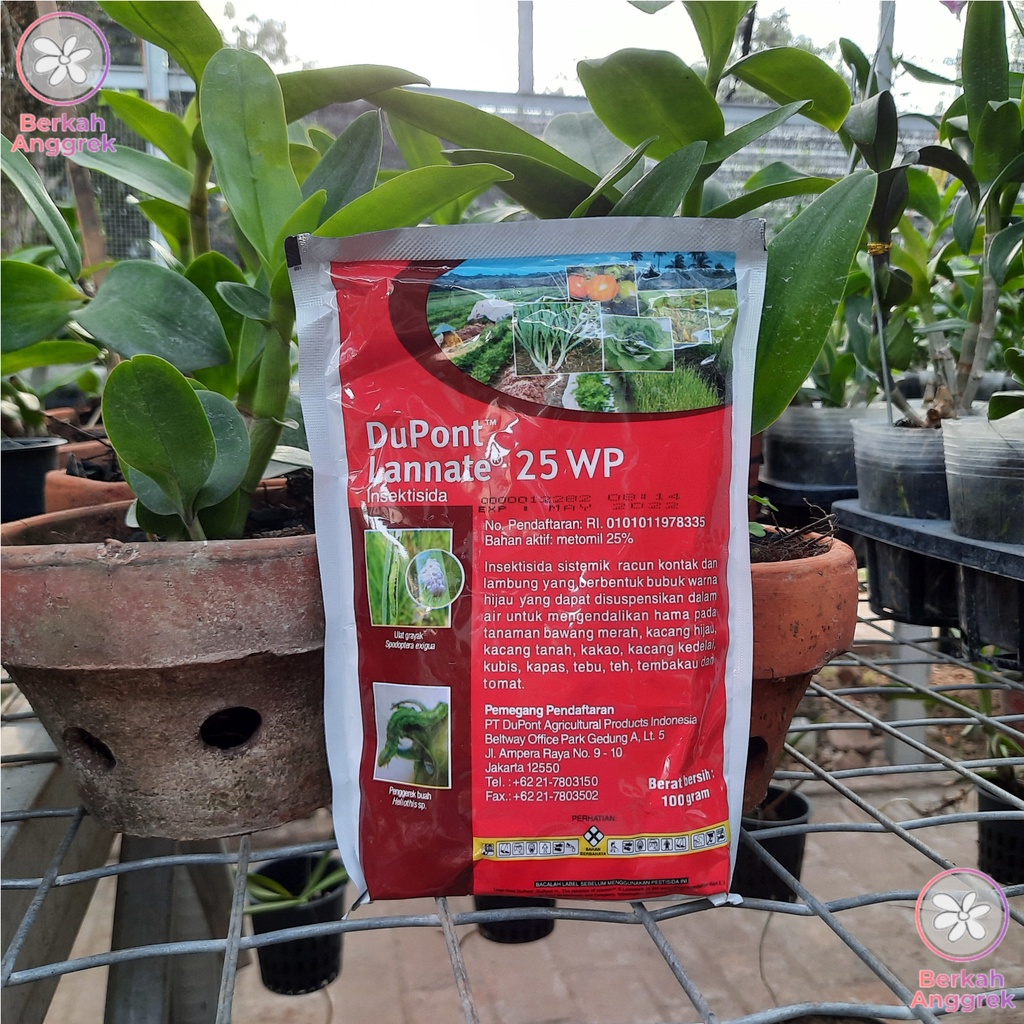 Dupont Lannate Merah 100 Gram Insektisida