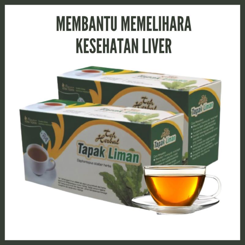 

Teh Celup Tapak Liman herbal mujarab Obati Radang Tenggorokan Amandel Alami isi 20 kantong
