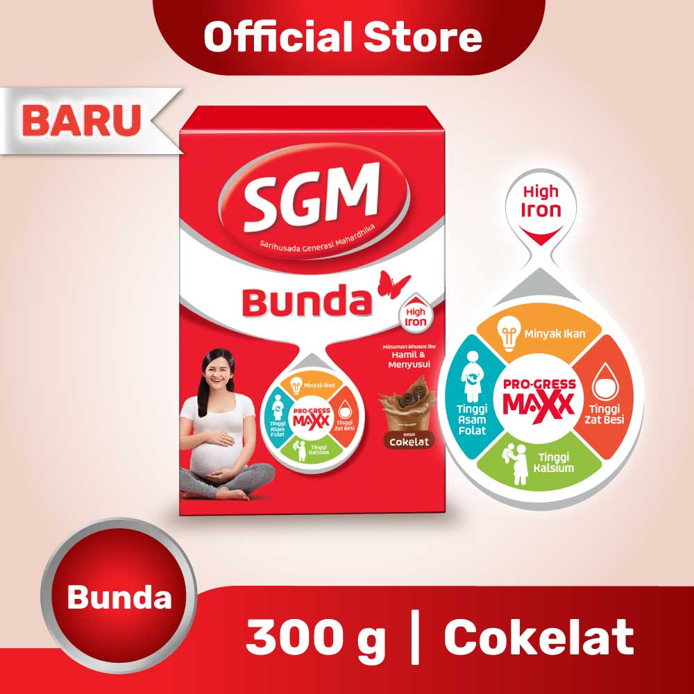 SGM BUNDA MENYUSUI COKLAT 300GR